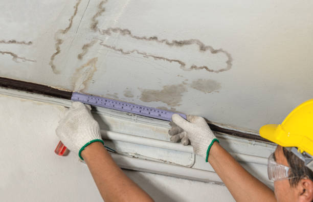 Reliable Flood Cleanup contractor in Moline, MI by Water Damage Irwin